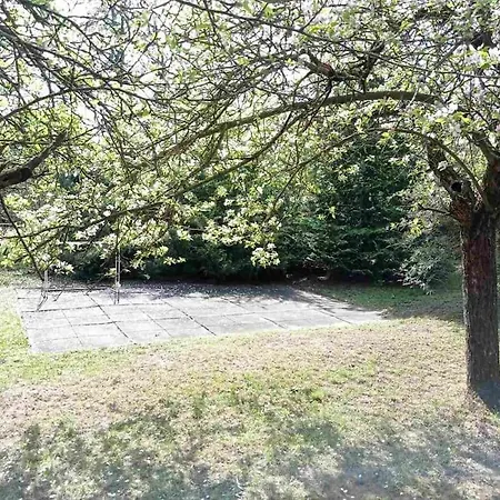Pine Grove Villa Godollo Exterior photo