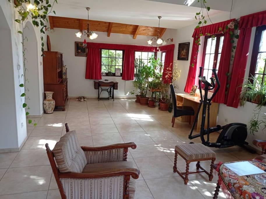 Pine Grove Villa Gödöllő