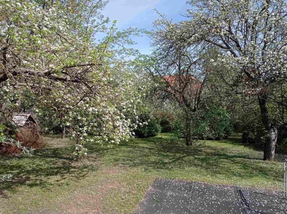 Villa Pine Grove