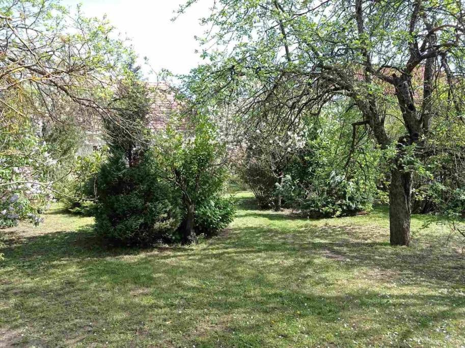 Vilă Pine Grove